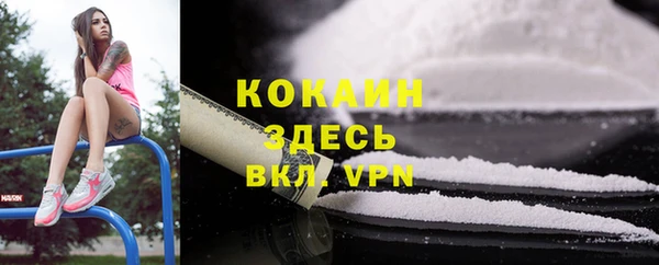 круглые Вяземский
