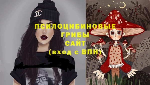 ешки Володарск