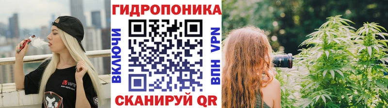 где купить наркоту ОМГ ОМГ вход Бошки Шишки THC 21% Заринск